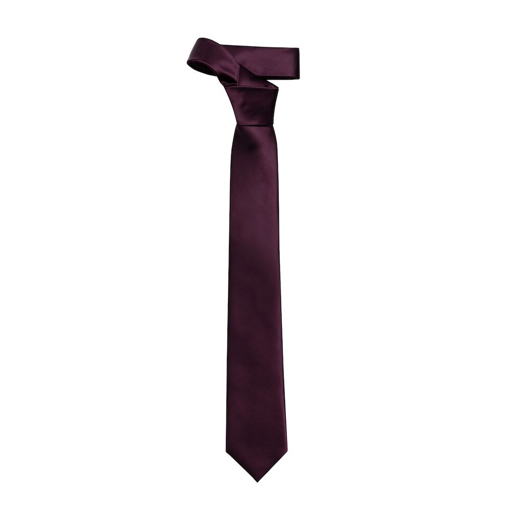 STSDP0003 Stropdas & Pochet in bordeaux - Afbeelding 4