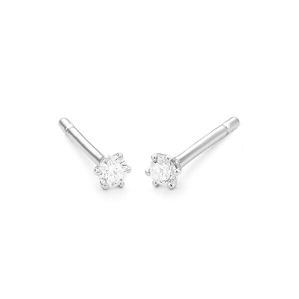 WGO0045E14 | Princes | 0,15 ct | Witgoud | 14 karaat oorbellen met briljant geslepen diamanten oorknoppen